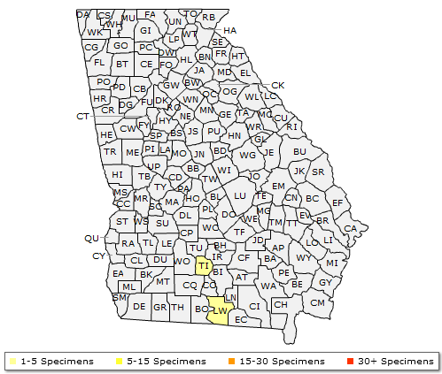 The range of Cedrus deodara